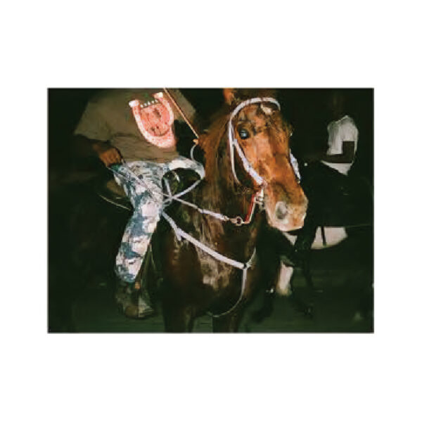 Tramaine Townsend 'LEAN WIT IT'