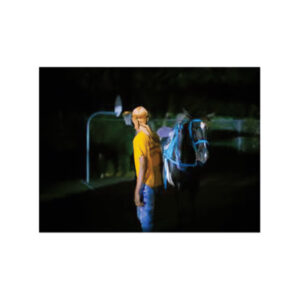 Tramaine Townsend 'OOP'