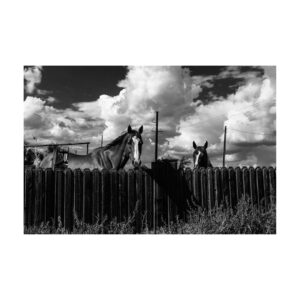 Tramaine Townsend 'TWICE IS EVERYWHERE'