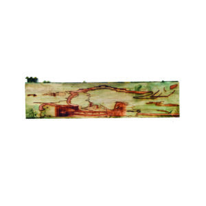 Narong Tintamusik 'Underneath the Skin of My Mother’s Clothing 11'